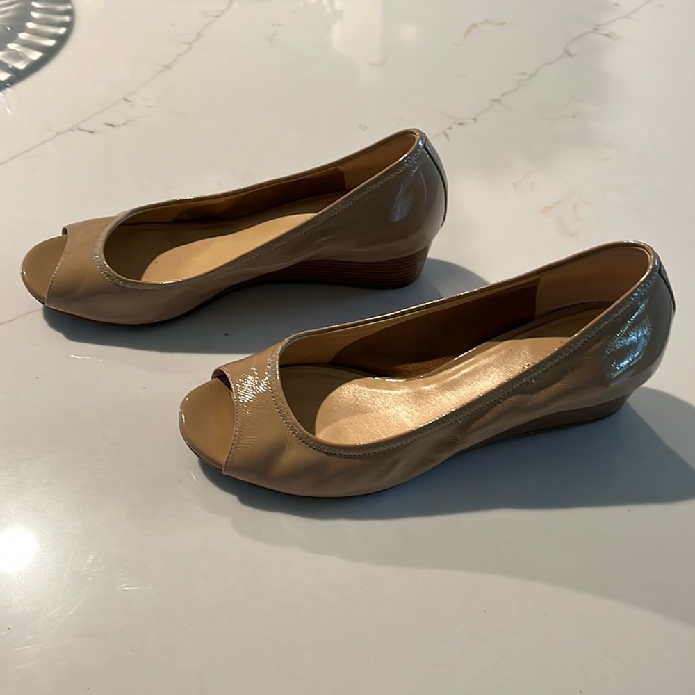 Cole Haan Nike air pump